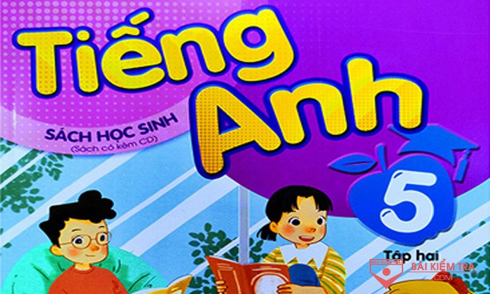 Đề thi cuối học kì 2, môn Tiếng Anh 5