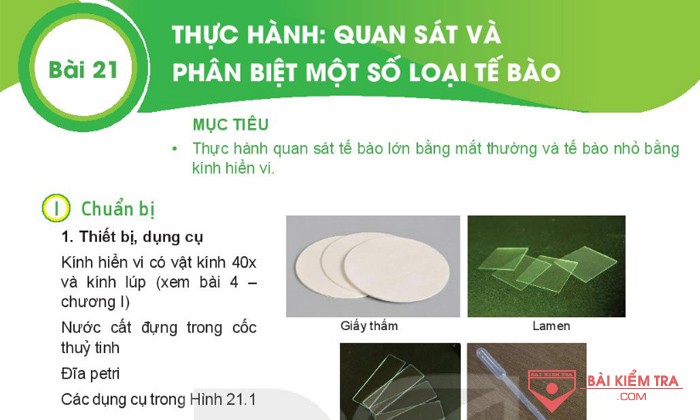 Giải bài tập Khoa học tự nhiên 6, Bài 21: THỰC HÀNH: QUAN SÁT, PHÂN BIỆT MỘT SỐ LOẠI TẾ BÀO CƠ THỂ SINH VẬT