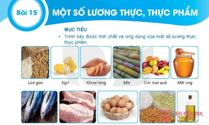Giải bài tập Khoa học tự nhiên 6, BÀI 15: MỘT SỐ LƯƠNG THỰC, THỰC PHẨM