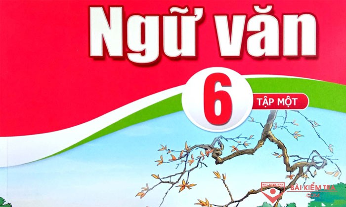 Đề kiểm tra giữa kỳ 1, môn Ngữ Văn 6 sách Cánh Diều