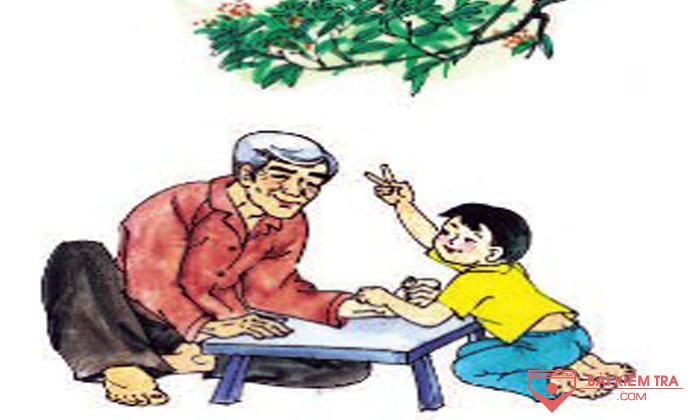 Viết bài văn biểu cảm với chủ đề Người ấy sống mãi trong lòng tôi