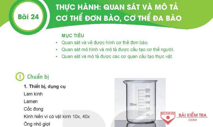 Giải bài tập Khoa học tự nhiên 6, Bài 24: THỰC HÀNH: QUAN SÁT VÀ MÔ CƠ THỂ ĐƠN BÀO VÀ CƠ THỂ ĐA BÀO