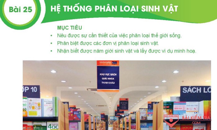 Giải bài tập Khoa học tự nhiên 6, Bài 25: HỆ THỐNG PHÂN LOẠI SINH VẬT