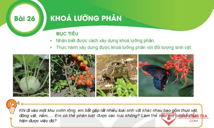 Giải bài tập Khoa học tự nhiên 6, Bài 26: KHÓA LƯỠNG PHÂN