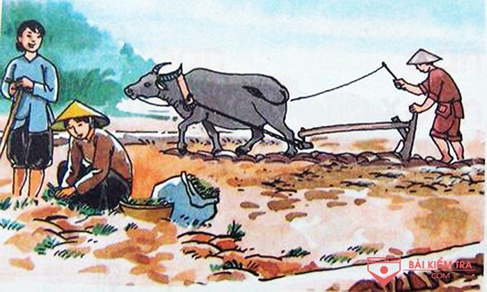 Viết đoạn văn ghi lại cảm xúc về một đoạn thơ lục bát