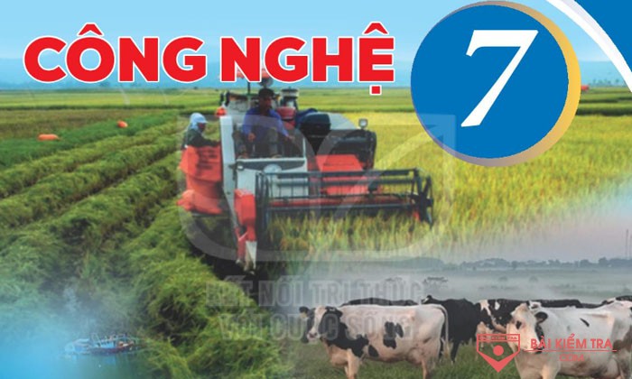 Đề kiểm tra cuối học kì 1, môn Công Nghệ 7 sách Kết nối tri thức