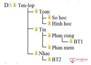 cay thu muc