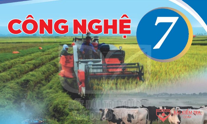 Đề cương ôn tập kiểm tra giữa học kì 1, Công nghệ 7, sách Kết nối tri thức với cuộc sống