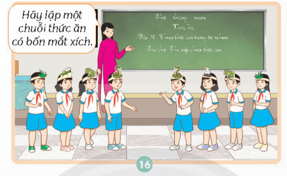 Giải Khoa học 4 sách Chân trời, bài 30: Chuỗi thức ăn trong tự nhiên