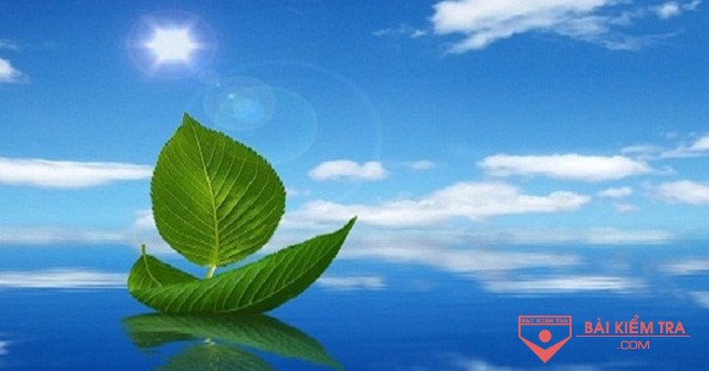 Nghị luận xã hội 200 chữ bàn về sống có ích